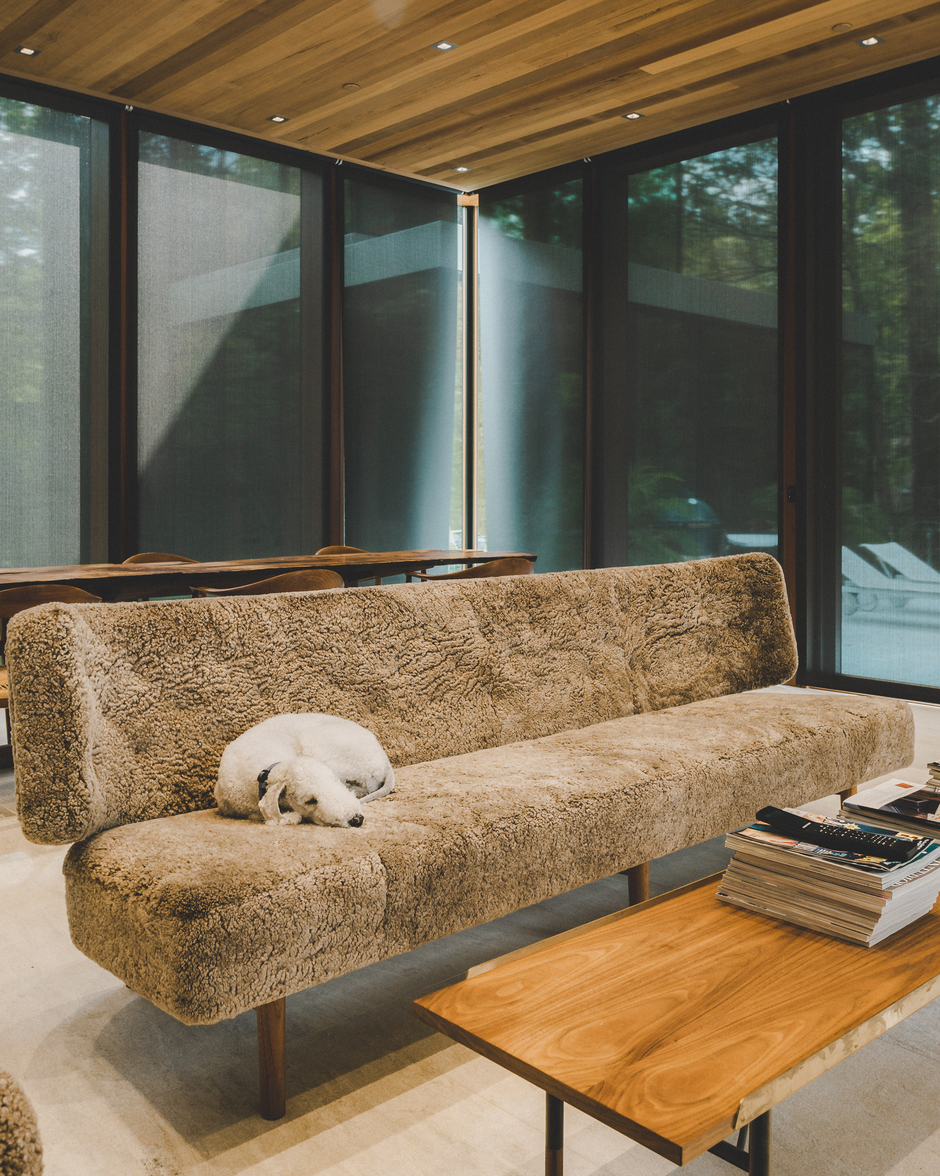 Luxury Smart Home